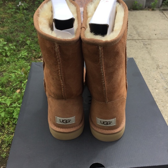 men classic uggs